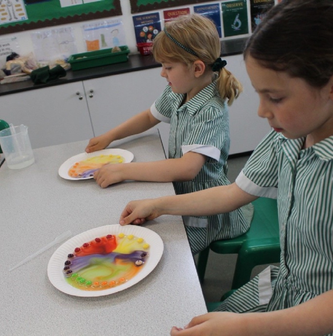 News » Year 1 Are Super Scientists